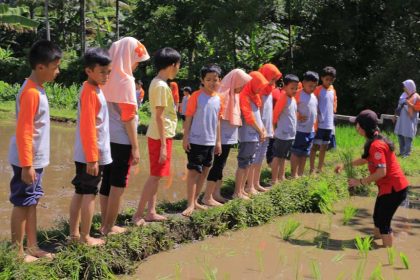 peduli lingkungan sejak dini sd silaturahim islamic school sekolah di cibubur peduli lingkungan sejak dini sd silaturahim islamic school sekolah di cibubur